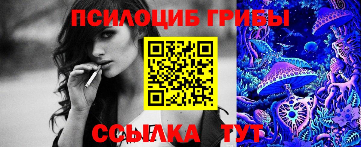Новокузнецк  закладки  Вход с VPN  Псилоцибиновые грибы ЛСД  Псилоцибиновые грибы мицелий 